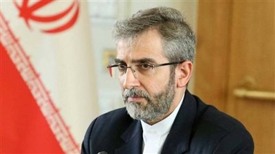 إيران تصف مفاوضات فيينا حول برنامجها النووي بالإيجابية