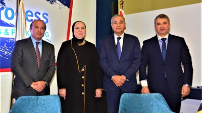 مدير مركز تحديث الصناعة: نستهدف رفع كفاءة المصانع الغذائية وتحسين إنتاجيتها لزيادة الصادرات