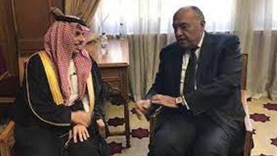 العرابي يكشف سبب تدشين مصر ودول الخليج آلية التشاور السياسي