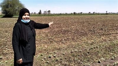 وكيل زراعة أسيوط: جميع الأسمدة متوفرة وصرف المقرر كاملًا طبقا لكارت الفلاح