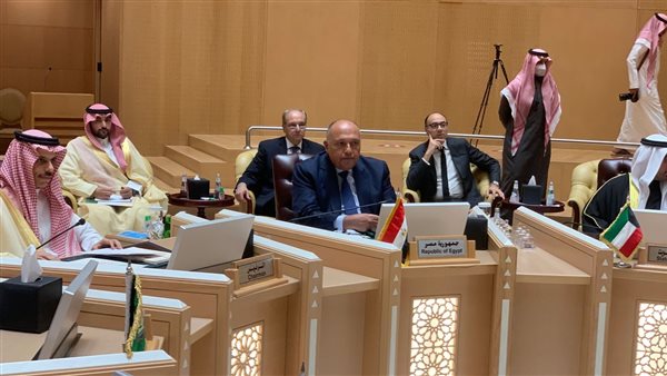 سامح شكري وزير الخارجية