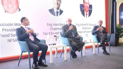 رئيس المجلس التصديري: 4 مليارات دولار حجم صادرات مصر من المنتجات الغذائية
