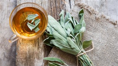 الميرمية لعلاج بطانة الرحم المهاجرة.. محاذير طبية ونتائج فعالة لإزالة تكيس المبايض