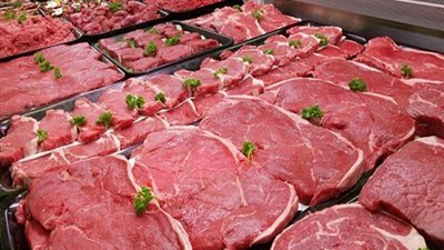 شعبة المستوردين: 60% نصيب اللحوم المستوردة من استهلاك المصريين 