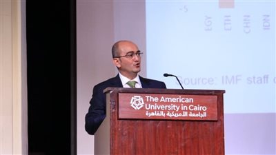 تصريحات مثيرة لممثل صندوق النقد الدولي بمصر: شركات الحكومة ضعيفة ومستمرة على حساب ممولي الضرائب