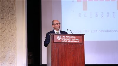 ممثل صندوق النقد الدولي بمصر: خسائر الحكومة 70 مليار جنيه.. ومستشارة رئيس الوزراء ترد