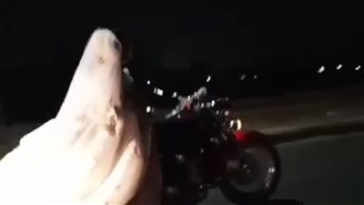 شادية وعندليب الفيوم.. عريس يزف عروسته على موتوسيكل بالدائري.. وشقيقه يكشف الكواليس |فيديو