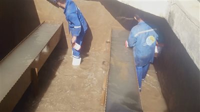 مياه الفيوم: تطهير وغسيل المرشحات بـ محلول هيبوكلوريت الصوديوم لمدة 24 ساعة