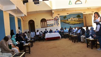 محافظ أسوان يعلن اقتراب موعد تشغيل محطة مياه الشرب بقرية غرب سهيل 