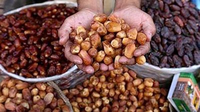 ختام فعاليات الجلسة النقاشية حول تطورات قطاع نخيل التمر