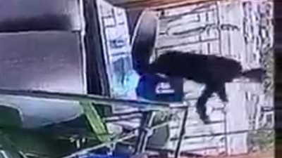 شاب يقدم على الانتحار من أعلى كافيه شهير بأسوان | فيديو