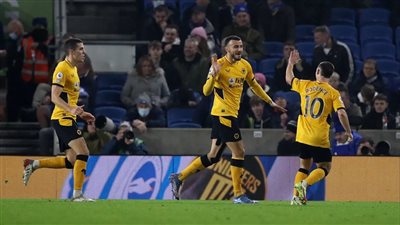 وولفرهامبتون ينتصر على برايتون.. وساوثهامبتون يتعادل مع كريستال بالاس في الدوري الإنجليزي