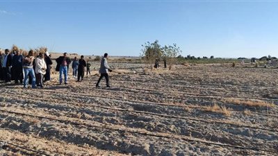 حملة مكبرة لإزالة التعديات على أراضي أملاك الدولة «ولاية الآثار» بمدينة ماضي الأثرية بالفيوم