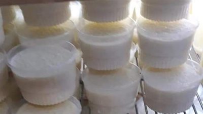 قبل احتفالات رأس السنة.. صحة البحر الأحمر تعدم 330 كجم أغذية متنوعة خلال حملة للتفتيش على القرى والمنتجعات السياحية