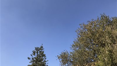 انخفاض درجات الحرارة بالدقهلية.. والصغرى تسجل 10 درجات