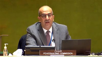 مصر تتشارك رئاسة اجتماع لجنة بناء السلام والمجلس الاقتصادي والاجتماعي بالأمم المتحدة | صور