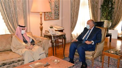 وزير الخارجية يبحث مع نظيره السعودي تعزيز أمن واستقرار المنطقة | صور