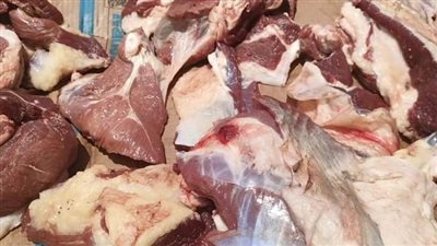 تحرير محاضر ضد مطاعم مشويات بالفيوم لعدم وجود شهادات صحية 