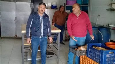 ضبط دواجن فاسدة خلال حملة تموينية في الفيوم.. وتصرف سريع من التموين