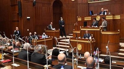 قبل مناقشته.. تفاصيل تقرير مجلس الشيوخ عن مقترح تفسير جديد للقرآن الكريم