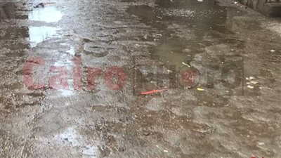 بث مباشر| أمطار غزيرة على كفر الشيخ بالتزامن مع موجة من التقلبات الجوية