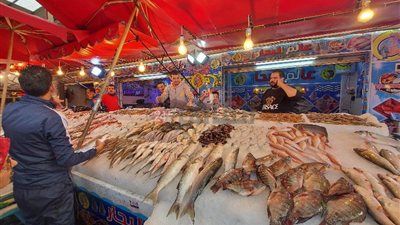 الجمبري الجامبو بـ 400 جنيه.. تعرف علي أسعار الأسماك اليوم