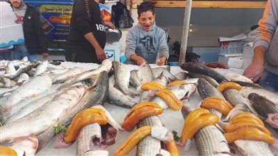 البلطي الأسواني بـ 17 جنيه.. تعرف علي سعر الاسماك اليوم بالأسواق المصرية