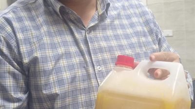 إعدام 268 كجم أغذية منتهية الصلاحية وتحرير 24 محضرا متنوعا في القليوبية