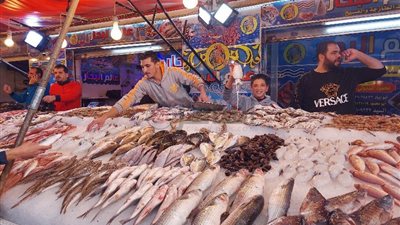 تعرف على أسعار الأسماك اليوم الأربعاء 19 يناير 2022