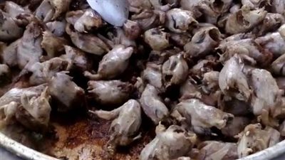 بـ 2 جنيه.. العصافير المحمرة أقدم أكلة في السيدة عيشة │ بث مباشر