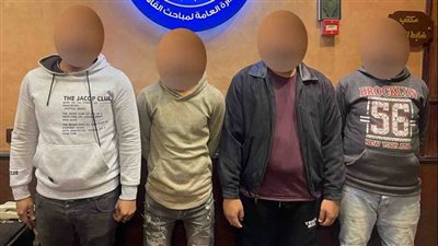 القبض على 4 أشخاص خلال التنقيب عن الآثار بـ المطرية