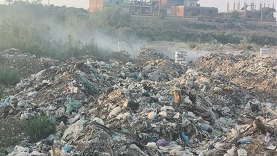 أمراض ورعب.. أهالي أبو صوير فى الإسماعيلية يستغيثون بالمسئولين بسبب مقلب قمامة| صور