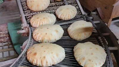 ضبط 5 مخابز مخالفة في حملة تموينية بالدقهلية