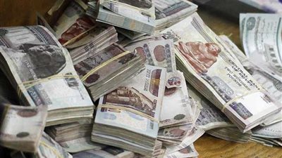 لاستيلائهما على 24 مليون جنيه.. محاكمة مسؤولة بوزارة المالية وشقيقها 