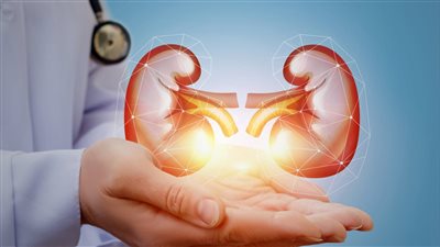 علاج صديد البول نهائيا بالأعشاب والمشروبات والمضادات الحيوية