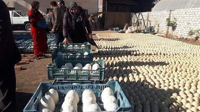 قرار جديد بشأن المتهمين بتصنيع الجُبن من دهان الحوائط في المنوفية