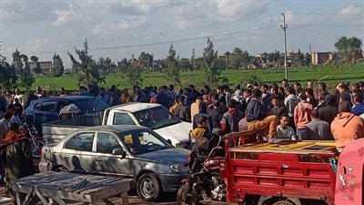 بعد يومين من البحث.. العثور على جثة شاب انقلبت به السيارة في ترعة بكفر الشيخ | صور