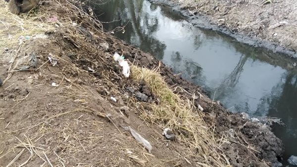 الطب البيطرى توضح