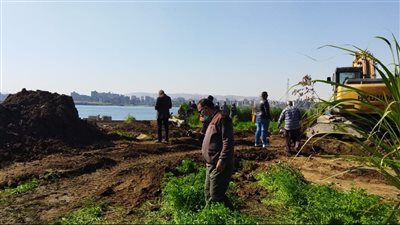  إزالة 14 حالة تعد على النيل بجزيرة الواسطى في أسيوط