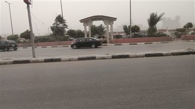 موجة صقيع ورياح تضرب الغربية.. والمحافظة ترفع الطوارئ │ صور