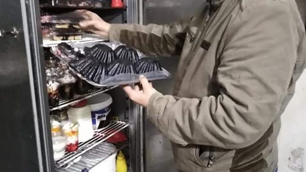 جانب من الحملة 