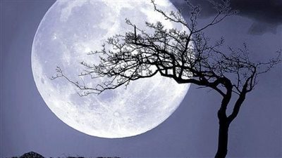 البحوث الفلكية تكشف موعد ظهور القمر البدر خلال شهر يناير