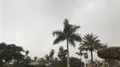 ‎تزامنا مع تعليق الدراسة.. انخفاض درجات الحرارة وسقوط أمطار متوسطة بالدقهلية