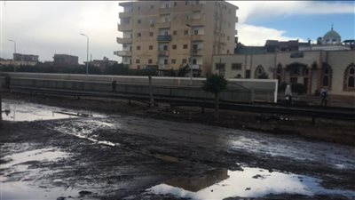 الرياح والأمطار والصقيع تضرب محافظة كفر الشيخ | صور وفيديو