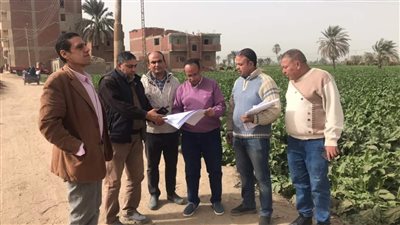 بطول 6.5 كيلو.. طريق جديد يربط بين الفيوم الجديدة والمدينة الأم مباشرة