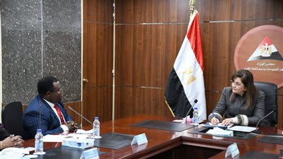 التخطيط: زيادة نسبة المشروعات الخضراء إلى 50% بحلول عام 2024-2025