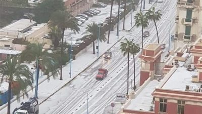 أوروبا مصر.. الثلوج تكسو شوارع الإسكندرية في مشهد نادر