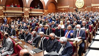 لجان الشيوخ: قانون العمل الجديد يلبي تطلعات الشعب في تحقيق العدالة