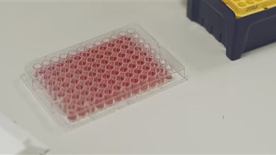 إطلاق خلايا العضلات البشرية إلى الفضاء للكشف أسرار الشيخوخة|صور 