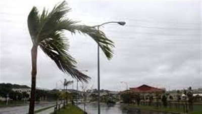 بعد ليلة مطيرة.. رياح شديدة باردة تضرب محافظتي الشرقية والمنوفية | بث مباشر